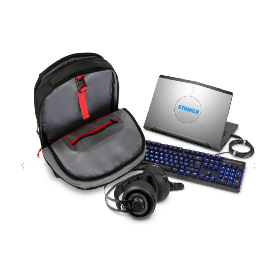 Gaming 17.3