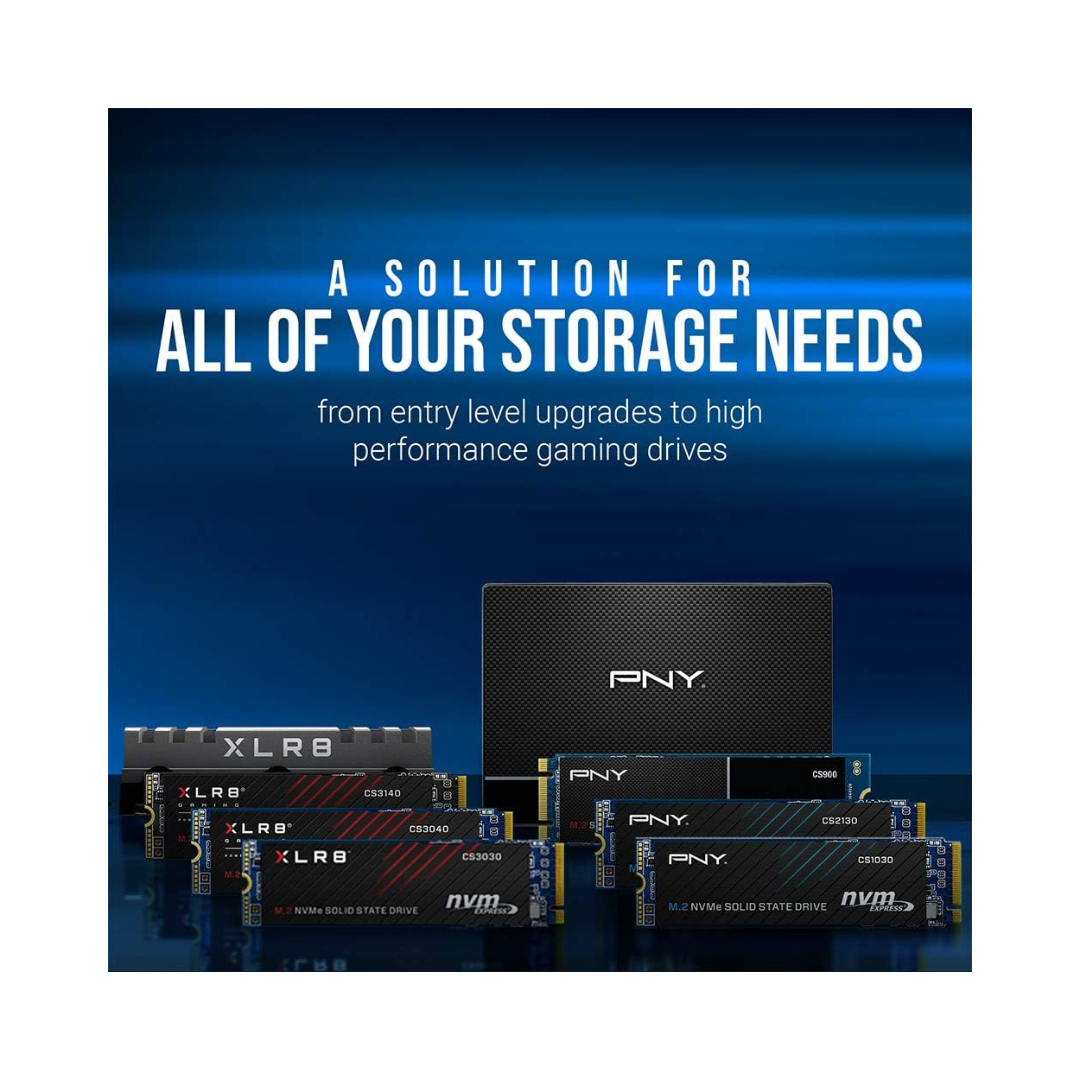 PNY CS900 2.5