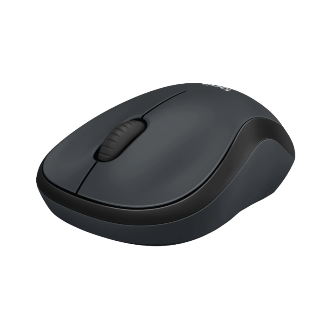 Black computer mouse on a white background