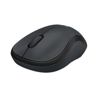 Black computer mouse on a white background