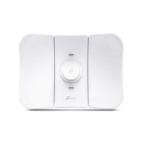 Tp-Link Accesspoint Outdoor 867Mbps CPE710